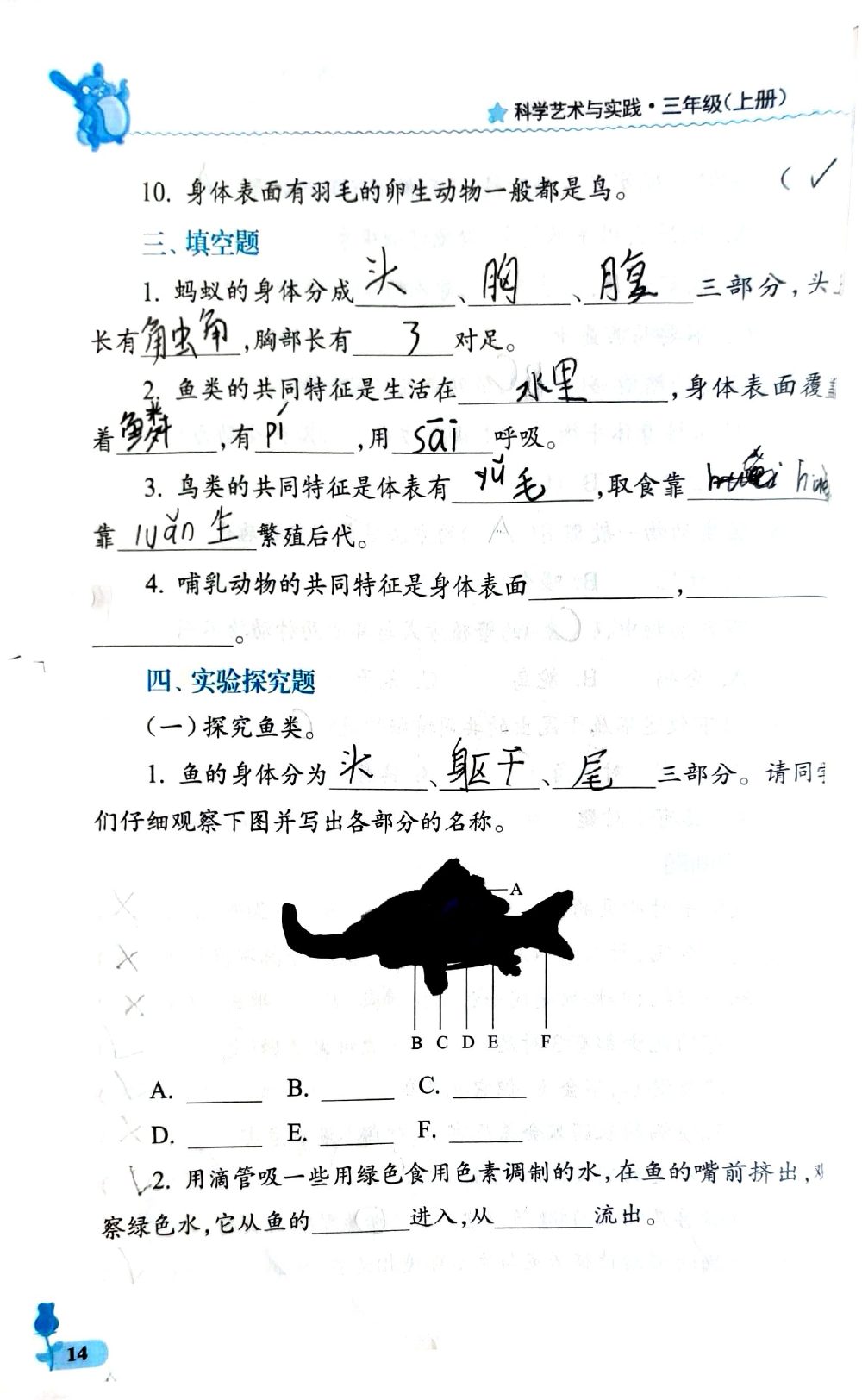 题目图片